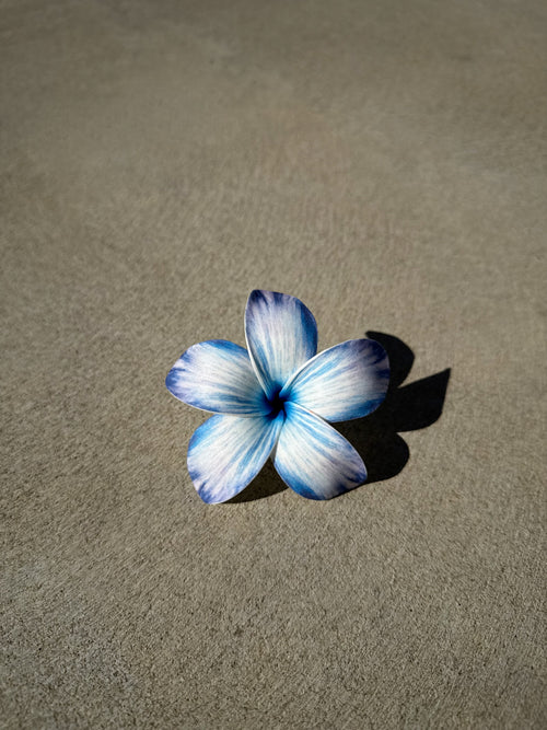 Deep Blue Plumeria Frangipani