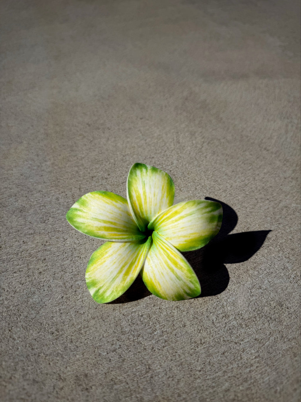 Green Plumeria Frangipani
