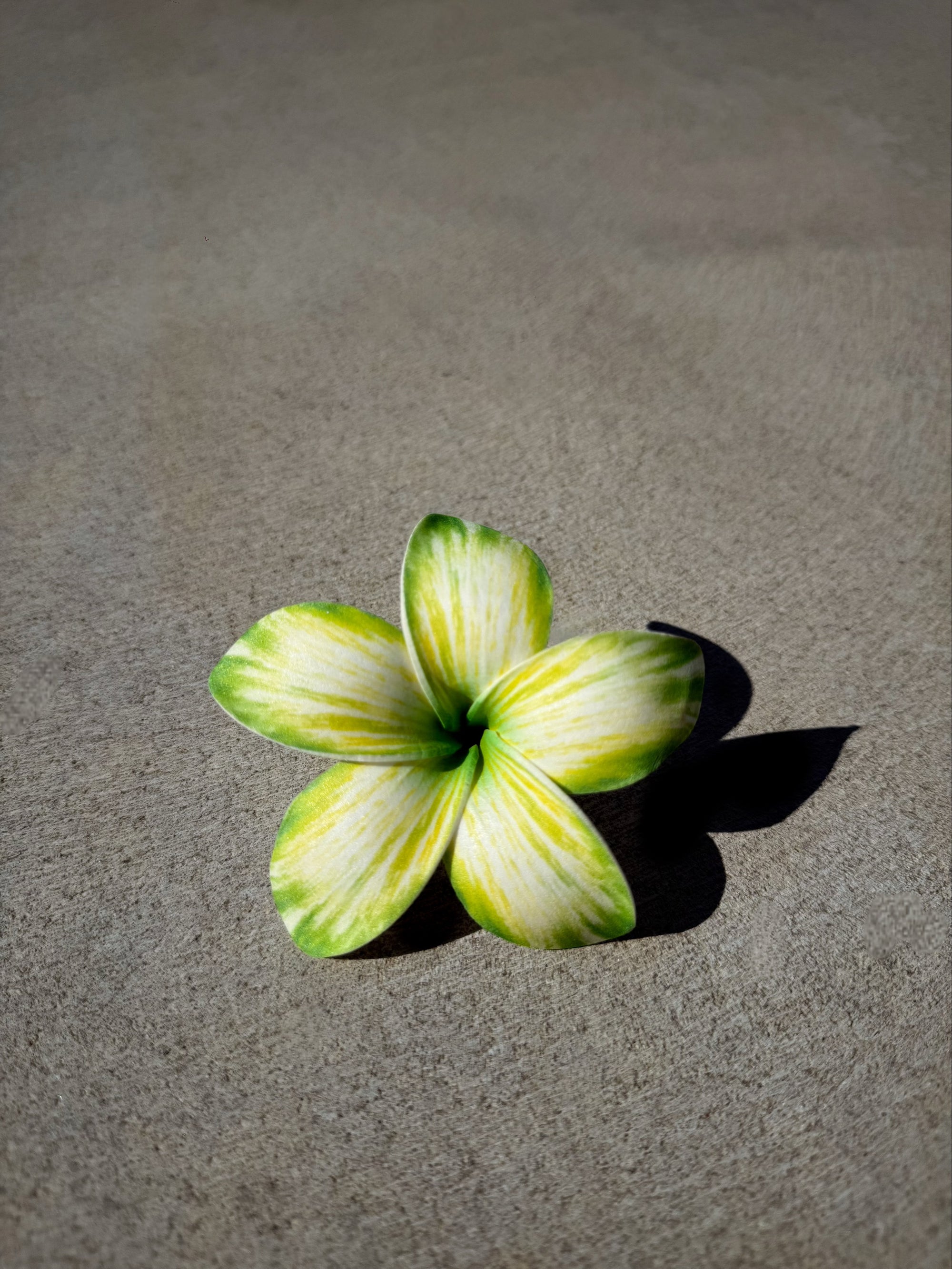Green Plumeria Frangipani