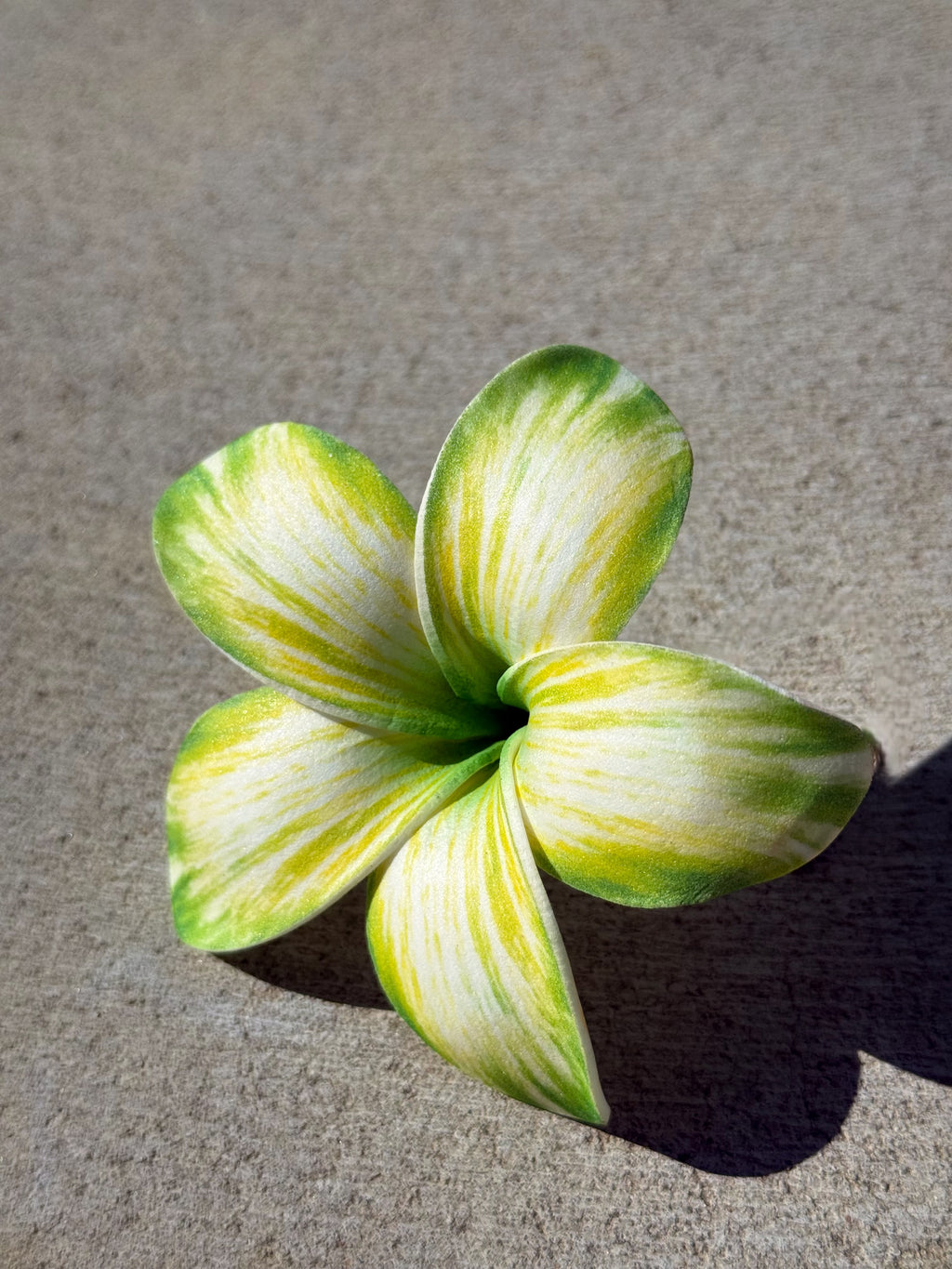 Green Plumeria Frangipani
