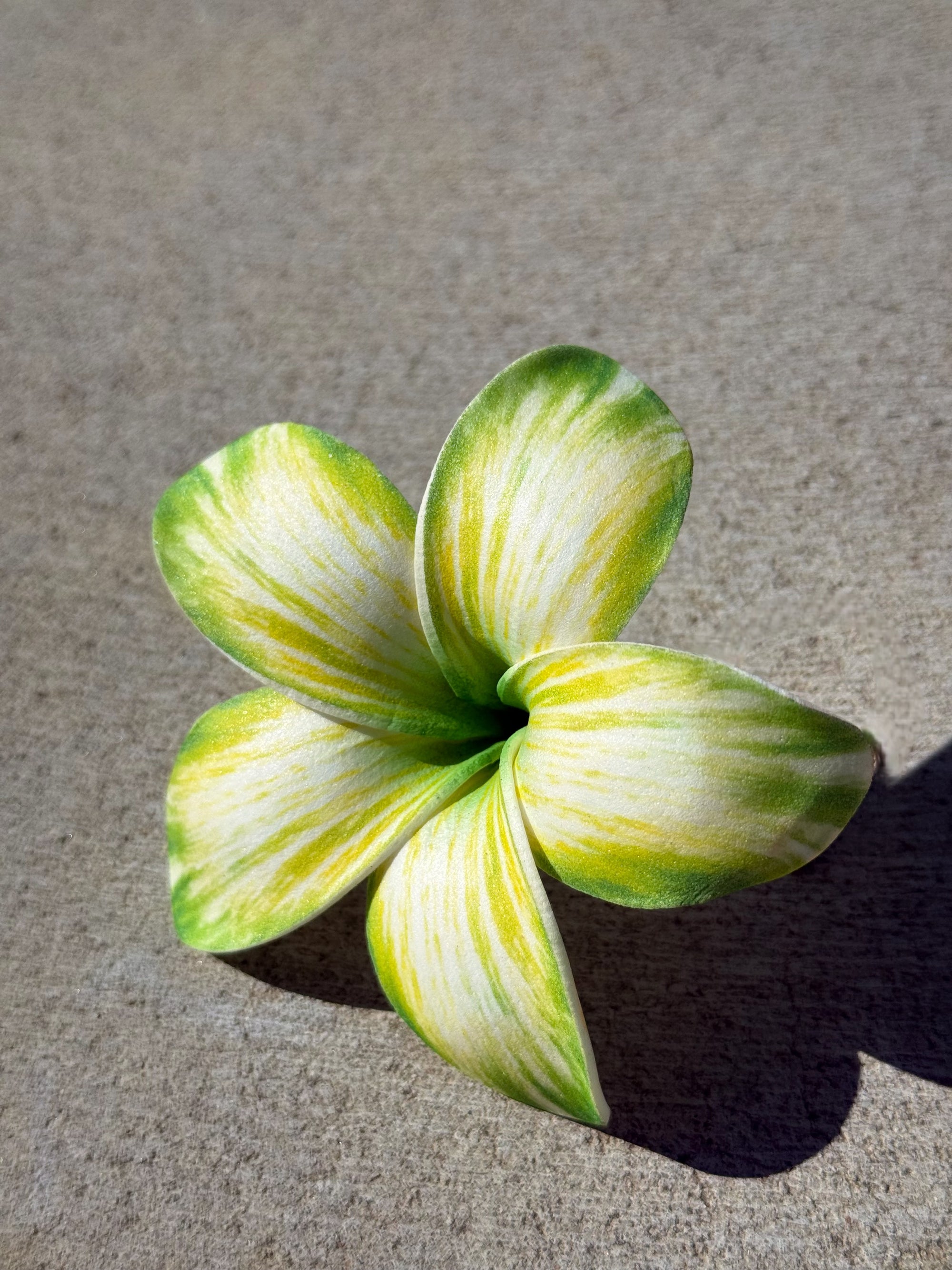 Green Plumeria Frangipani