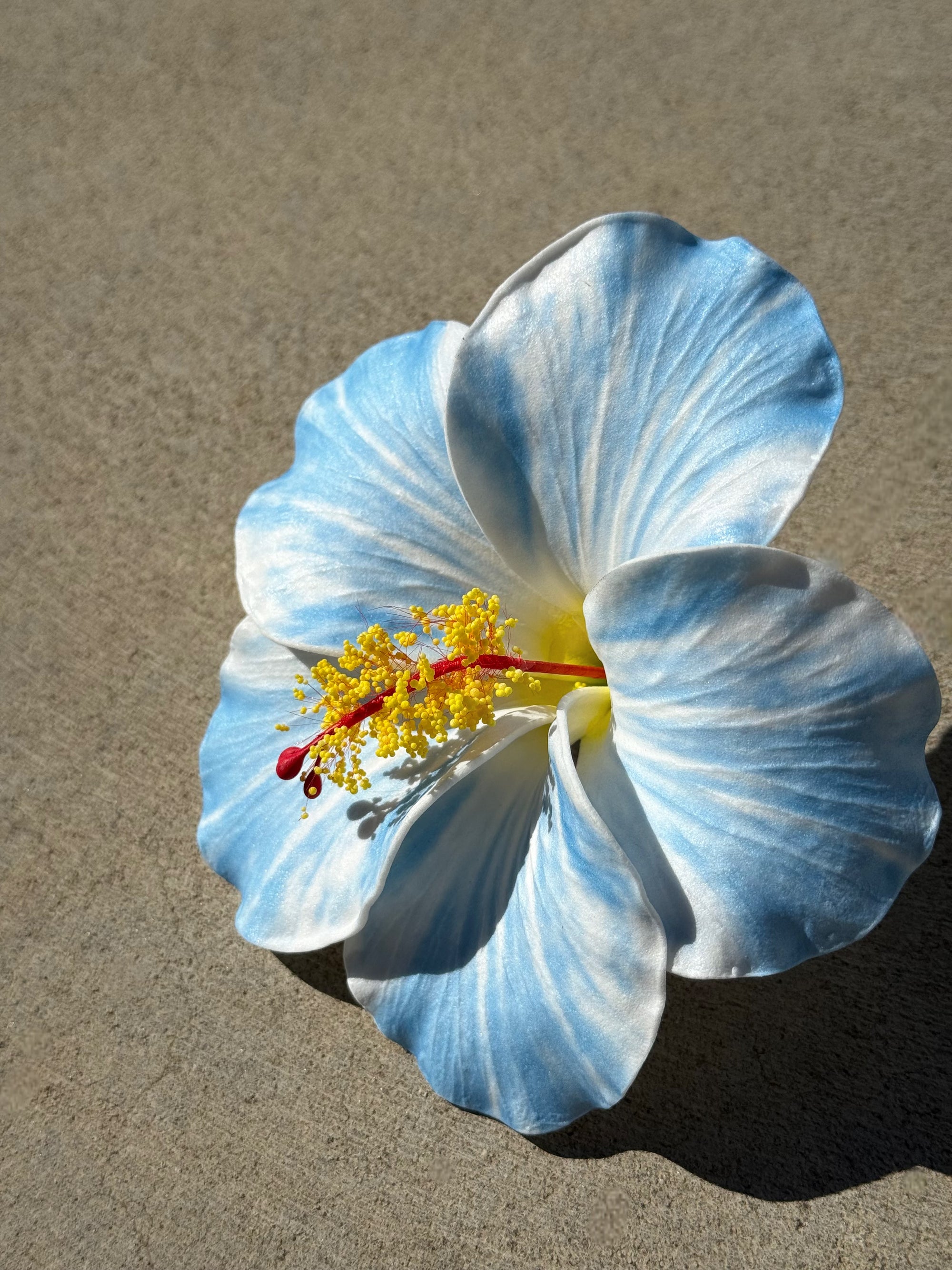 SKY HIBISCUS